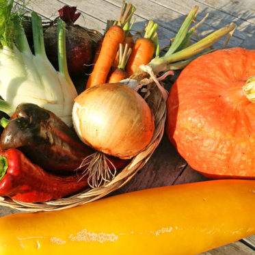 Gemüse ernten: Der beste Zeitpunkt für Kartoffeln, Kürbis und Co.
